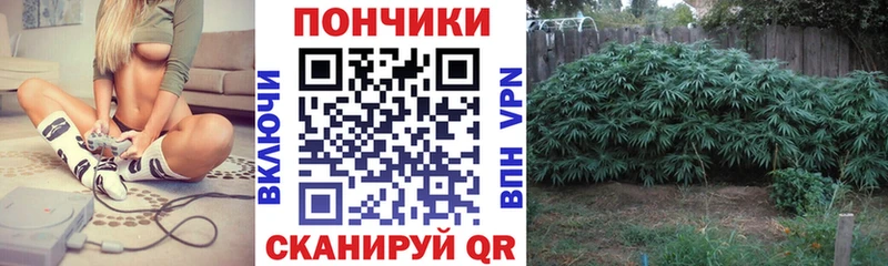 Купить закладку Cocaine  Меф  АМФ  ГАШ  А ПВП  Великий Новгород