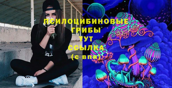 бошки Арсеньев