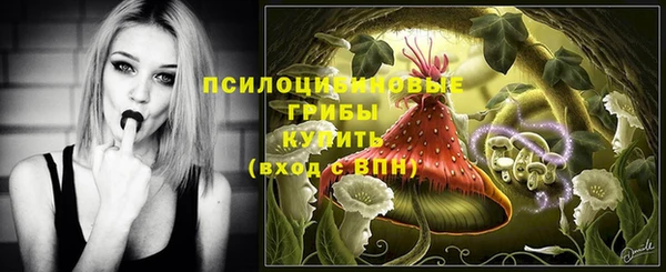 дурь Аркадак