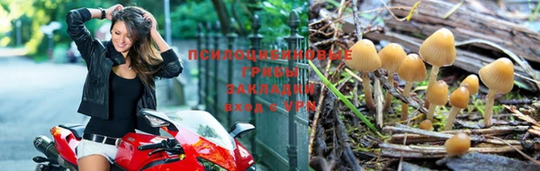 мескалин Балахна