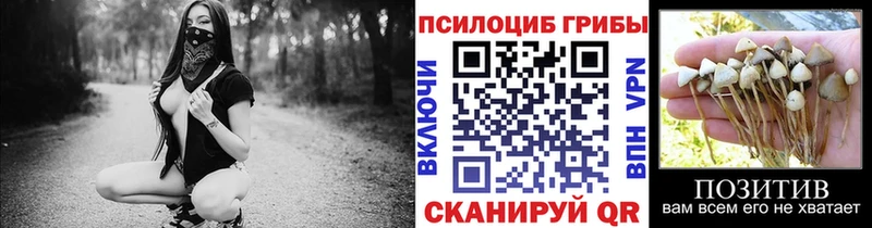 Галлюциногенные грибы мицелий  Купить где  Великий Новгород 